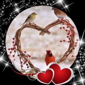 Meet your Posher, Willie